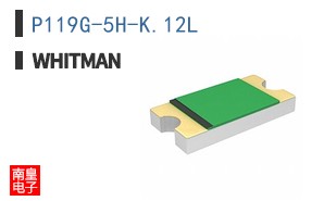 P119G-5H-K.12L ͼƬ